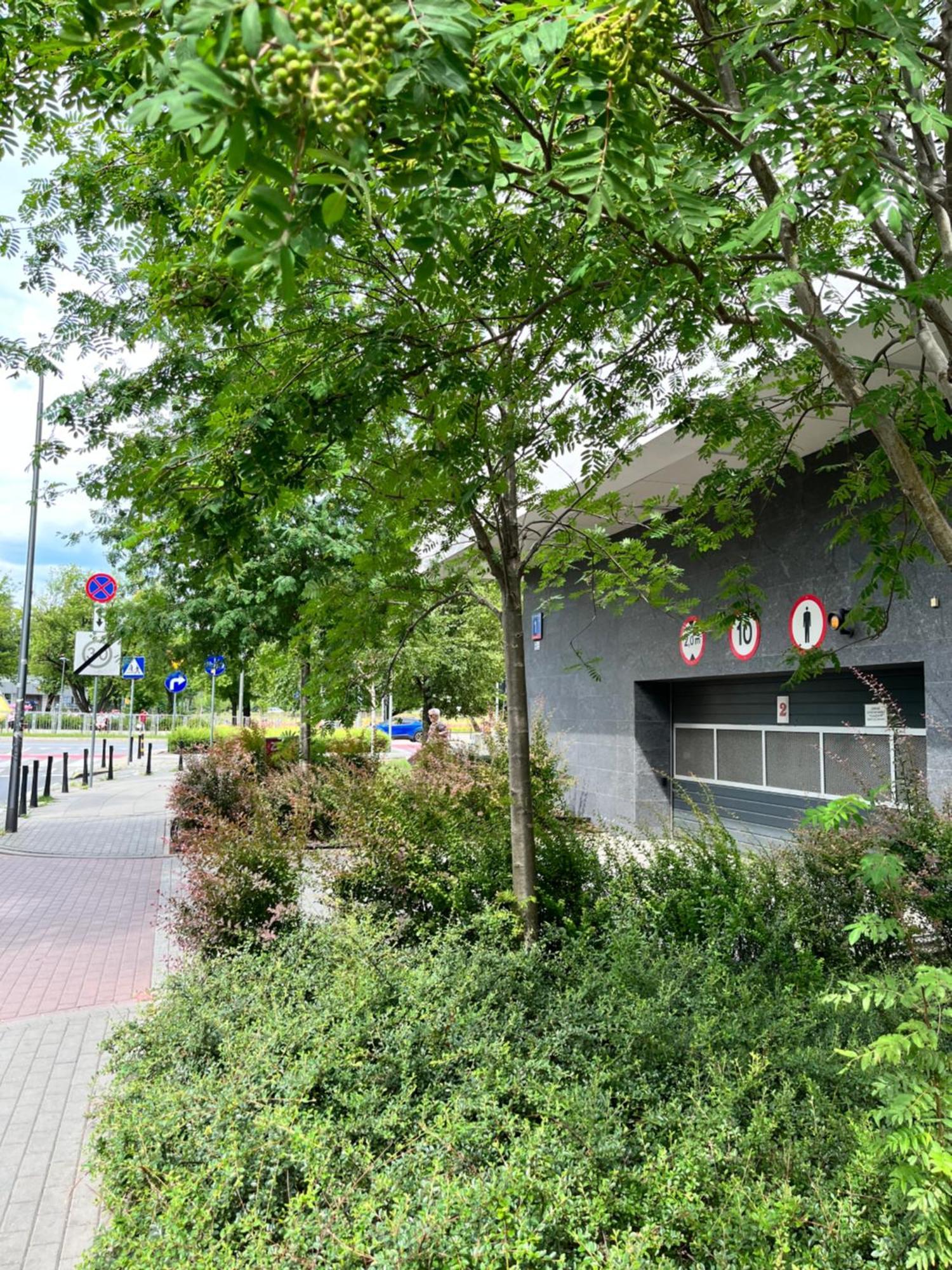 Apartment Metro Slodowiec Free Parking Varsóvia Exterior foto